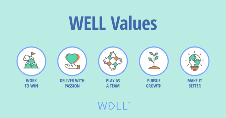 well-values-banner_720