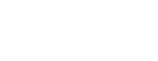 caregility white