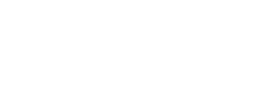 flywire white